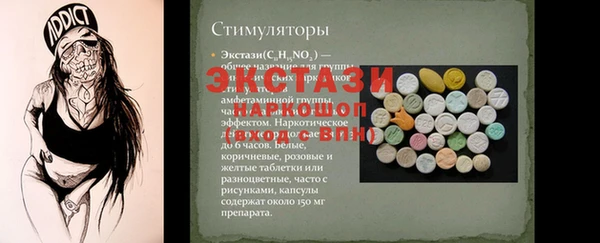 МДПВ Вяземский