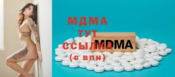 МДПВ Вяземский