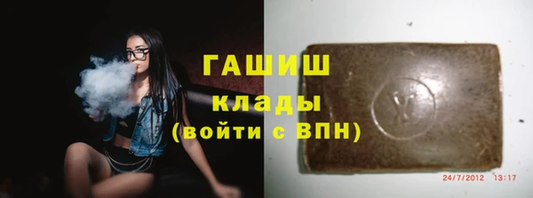 МДПВ Вяземский