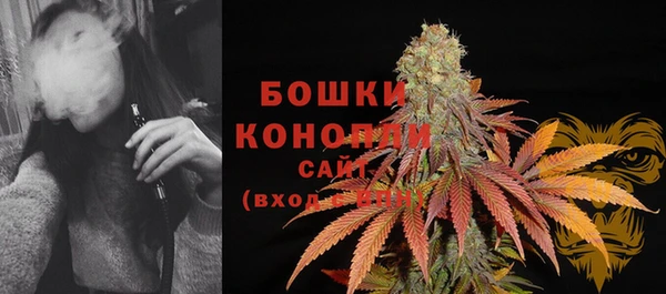 МДПВ Вяземский