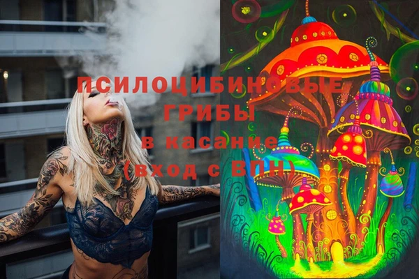 сатива Вязьма