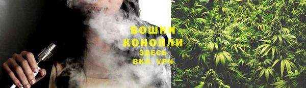 сатива Вязьма